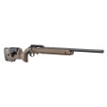 ruger-american-rimfire-long-range-target-8378- (1).jpg