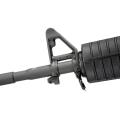 big_-DSC4508.jpg