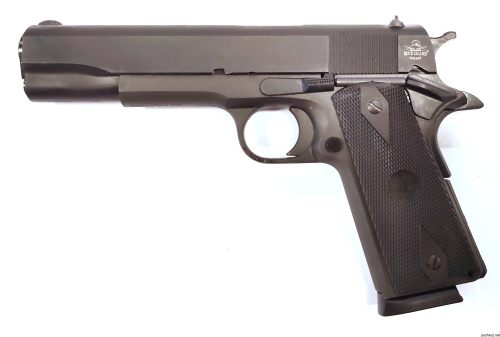 ria entry salon broni 1.png