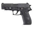 P226-MK25.jpg